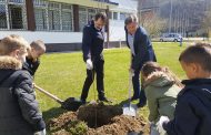 ZASAĐENI BIJELI JASENI U OKVIRU AKCIJE “POSADI SVOJ HLAD” ORGANIZOVANE U UGLJEVIKU